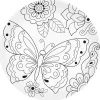Easy Life Assiette àdessert en porcelaine de Ø19 cm, dans une boîte Butterfly Online