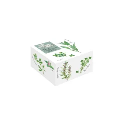 Easy Life Ensemble de 2 tasses à café avec soucoupes, 120 ml en porcelaine HERBARIUM> Quotidienne|Petit Dejeuner